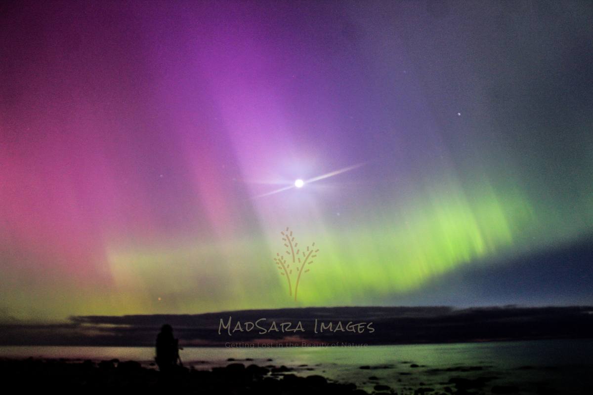 Aurora Borealis - MadSara Images