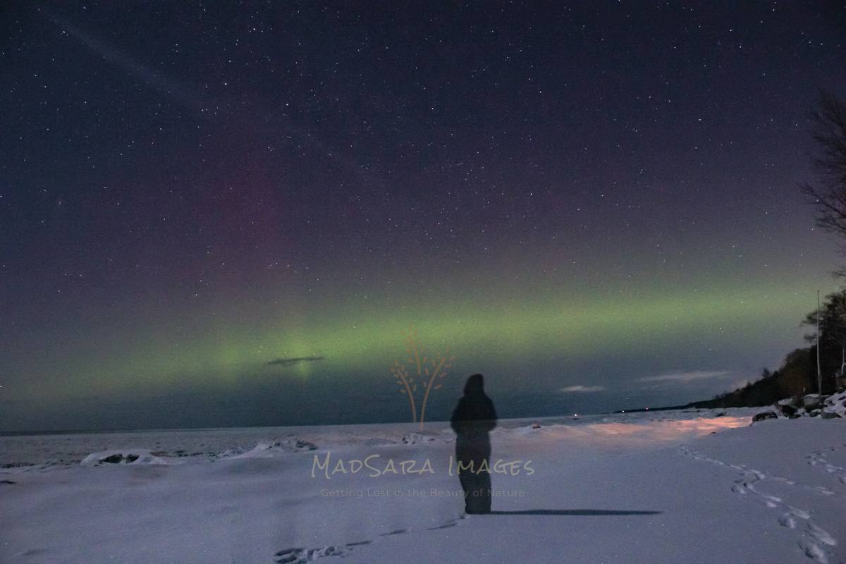 Human element winter silhouette · MadSara Images